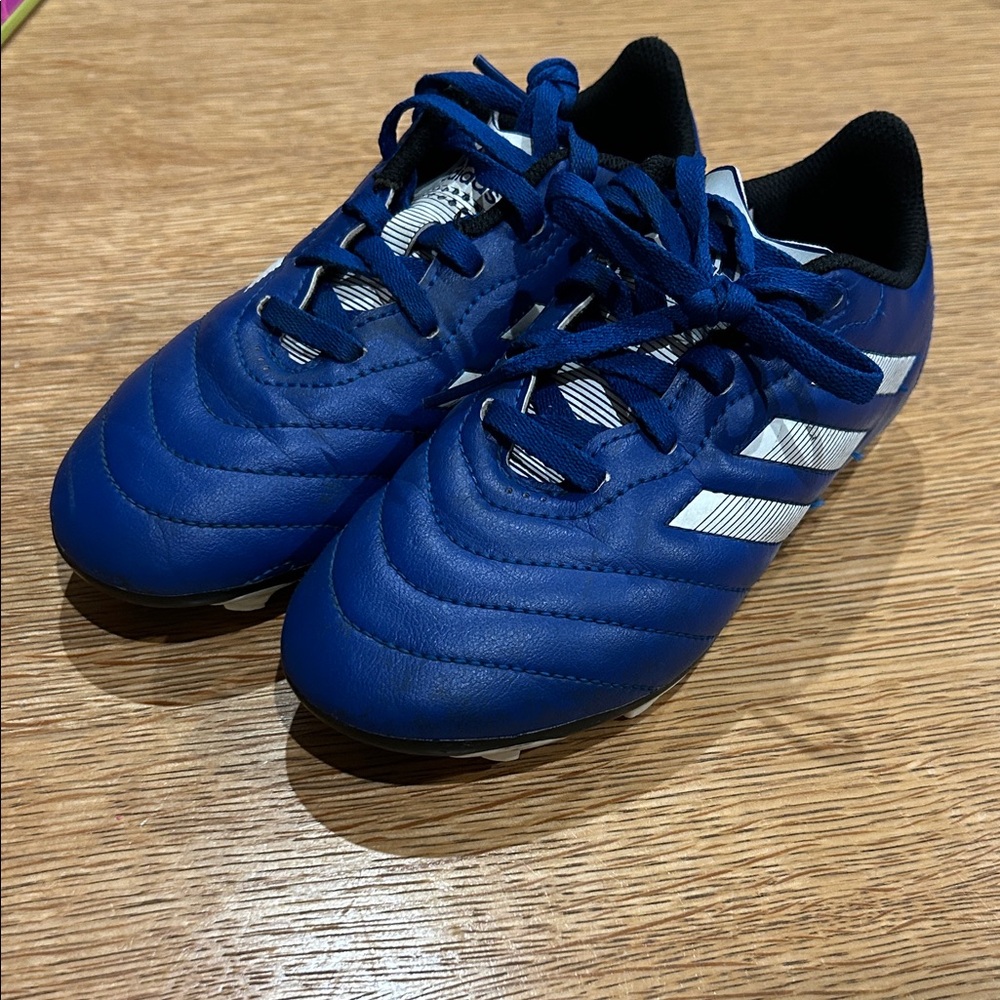 Adidas Kids Blue and White Cleats